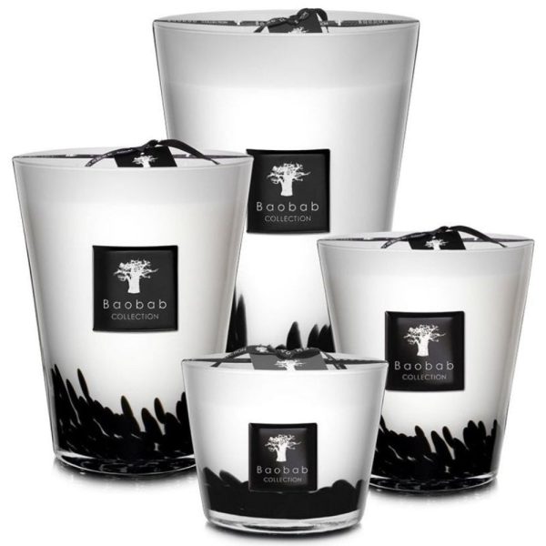 Baobab Collection Max 16 Feathers Candle Discount