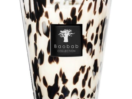 Baobab Collection Max 24 Pearls Black Candle Supply