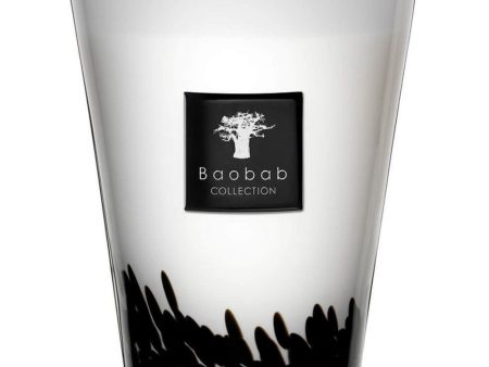 Baobab Collection Max 24 Feathers Candle on Sale