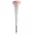 Wet N Wild Powder Brush For Discount