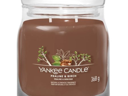 Yankee Candle Praline & Birch Medium Signature Jar Candle Online now