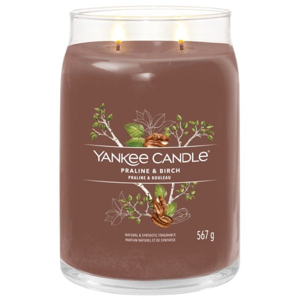 Yankee Candle Praline & Birch Large Signature Jar Candle Fashion