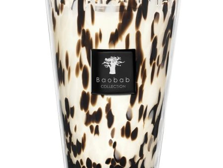 Baobab Collection Maxi Max Pearls Black Candle Online Sale