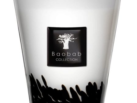 Baobab Collection Max 16 Feathers Candle Discount