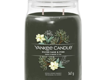 Yankee Candle Silver Sage & Pine Large Signature Jar Candle Discount