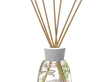 Yankee Candle Signature Reed Diffuser Bayside Cedar 100ml Online Sale