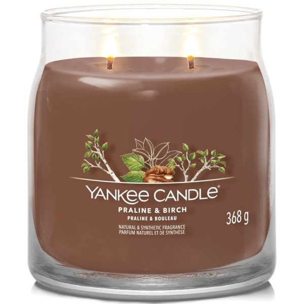 Yankee Candle Praline & Birch Medium Signature Jar Candle Online now