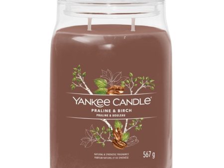 Yankee Candle Praline & Birch Large Signature Jar Candle Fashion