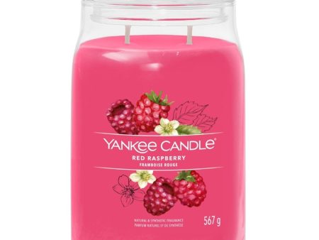 Yankee Candle Red Raspberry Large Signature Jar Candle Fashion