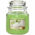 Yankee Candle Vanilla Lime Medium Jar Candle Online