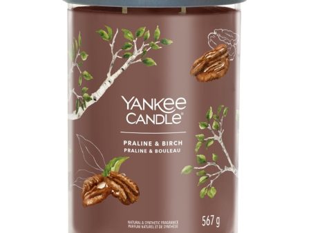 Yankee Candle Praline & Birch Large Signature Tumbler Jar Candle Hot on Sale