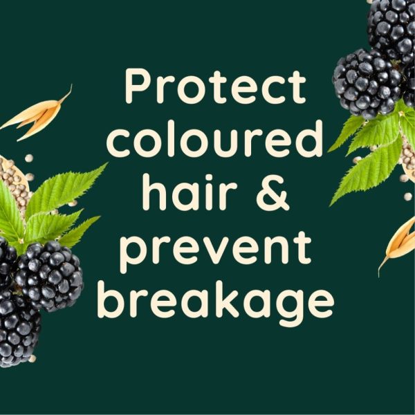 Aveeno Colour Protect+ Blackberry & Quinoa Blend Conditioner 300ml For Sale