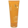 Alfaparf Milano Semi Di Lino Sunshine After Sun Treatment 200ml For Cheap